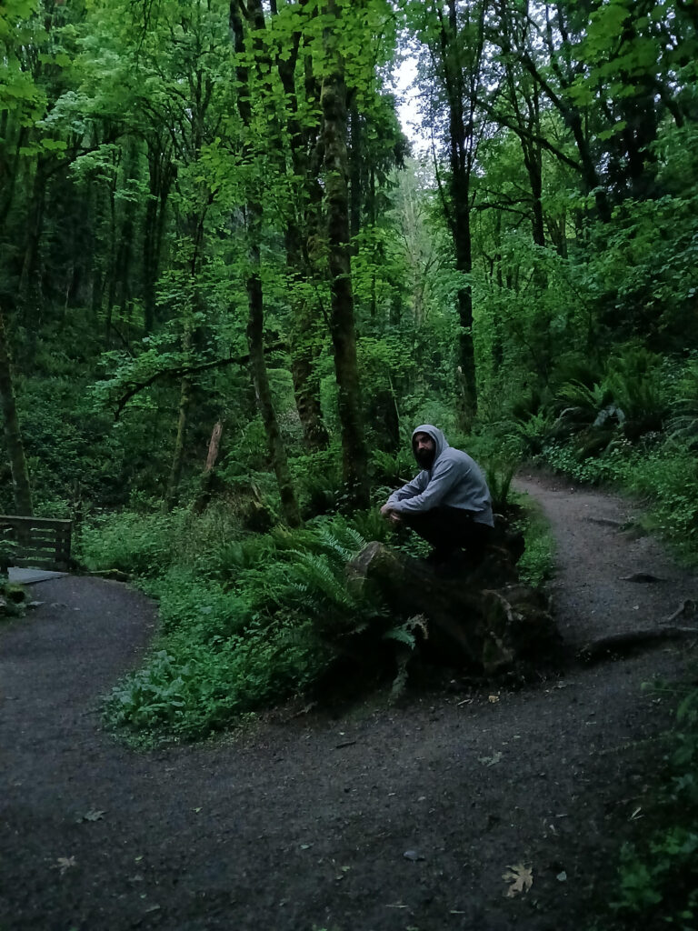 man with beard in the forest, squatting on a log